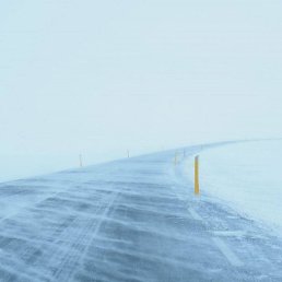 ������, ������, 44 ����