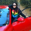 ���� �����, ������, 41 ��� - ��������� 15 ������� 2026 � ������ ���� ����������