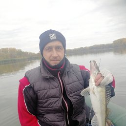 , 42, 