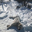 ���� �����, ������, 49 ��� - ��������� 22 ������� 2026