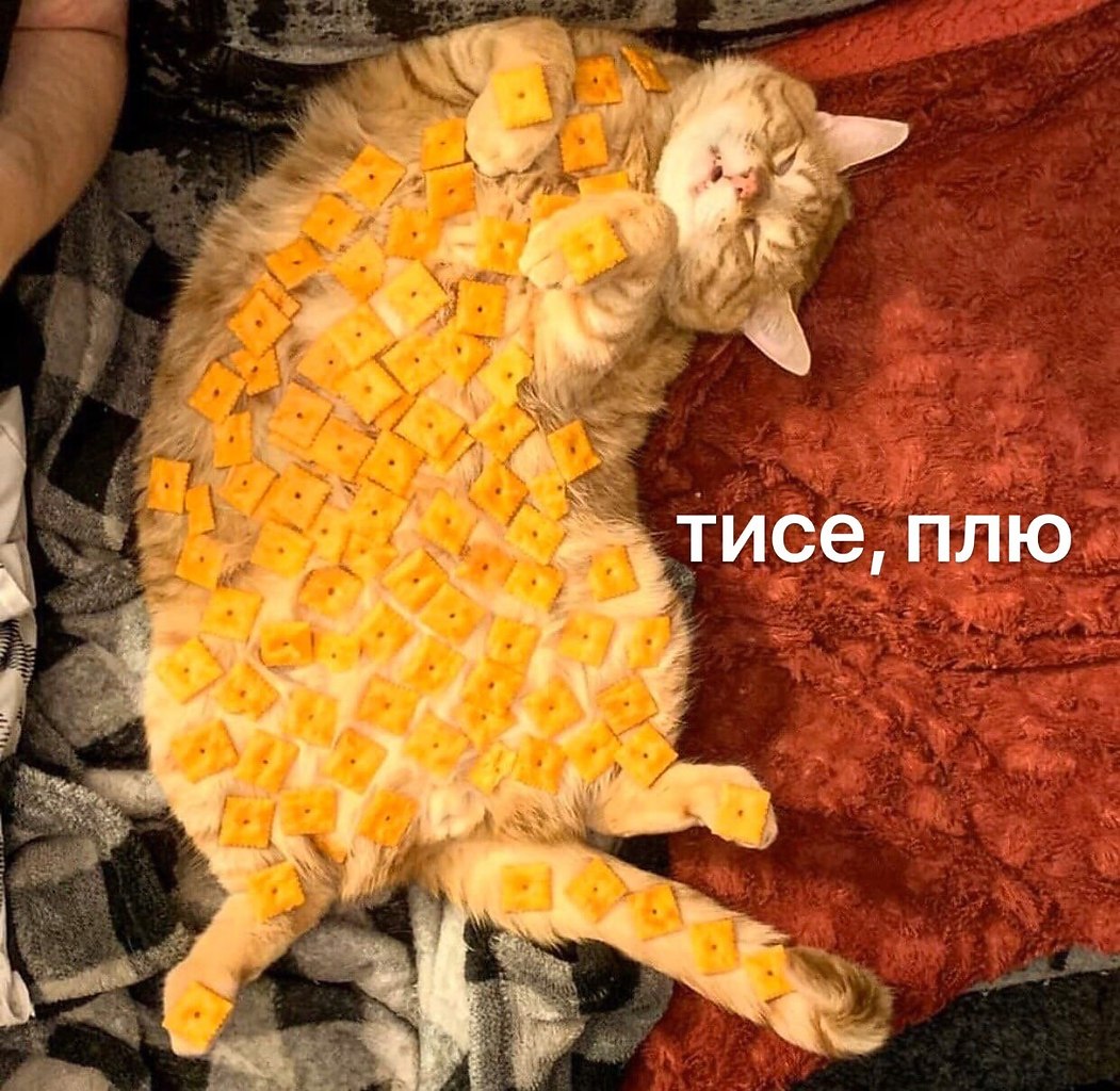    - 20  2024  21:37