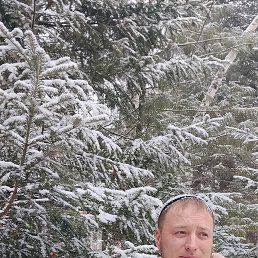 ���� ����, ���������, 36 ��� - ��������� 29 ����� 2026