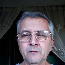 , 44, 