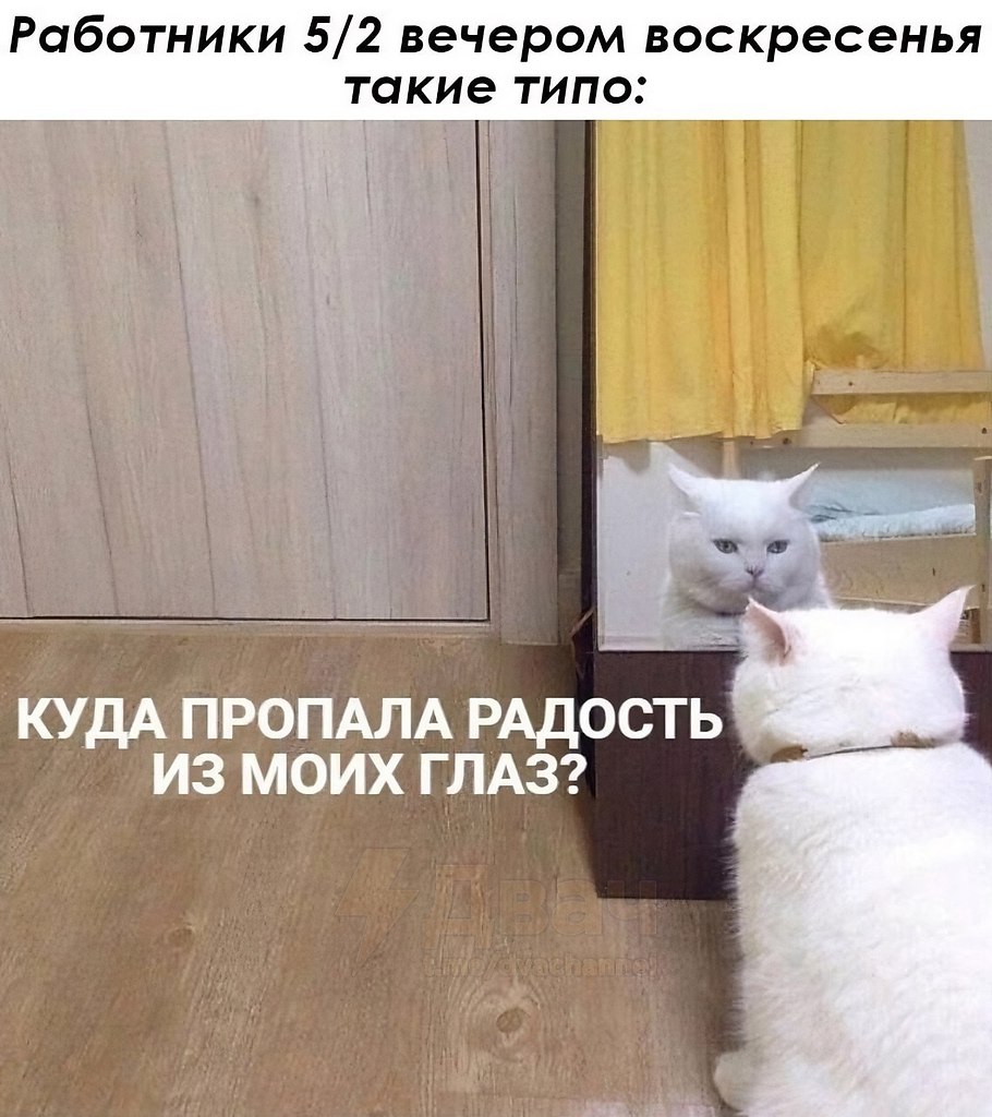 �������������� - 4 ��� 2026 � 07:16