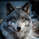 ���� ����, �����������, 31 ��� - ��������� 20 ����� 2024 � ������ ���� ����������