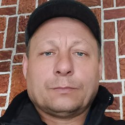 , , 51 