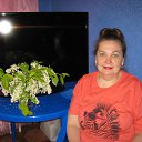 ���� ������, �����������, 67 ��� - ��������� 3 ������� 2024 � ������ ���� ����������