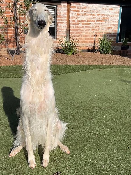  .   ,  -  .  .     .