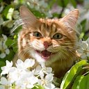 ���� �����, ����� - ��������� 23 ������ 2025 � ������ ���� ����������