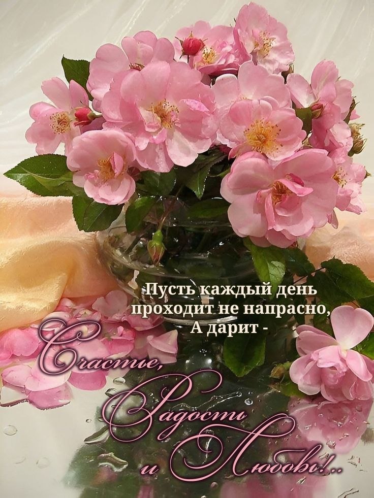 �� ����� ������! - 10 ���� 2026 � 06:40