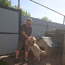 ���� ��������, ���������, 62 ���� - ��������� 4 ���� 2026 � ������ ���� ����������