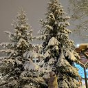 ���� ����, �������, 58 ��� - ��������� 17 ������ 2026