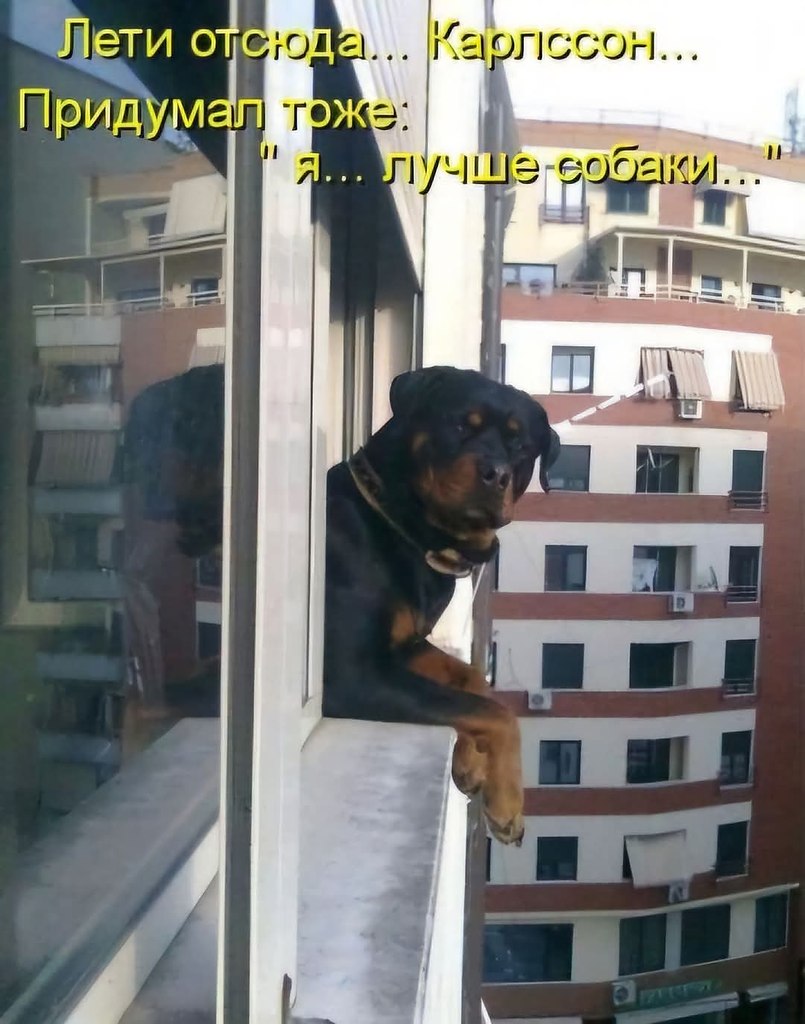   - 31  2025  16:38