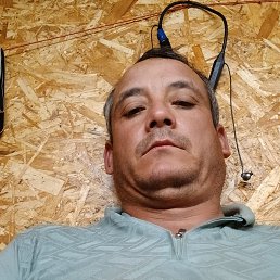 , 40, 