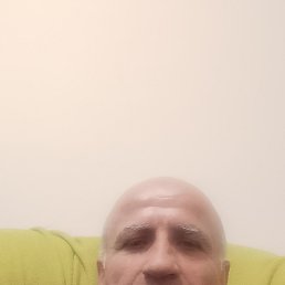 , 44, 