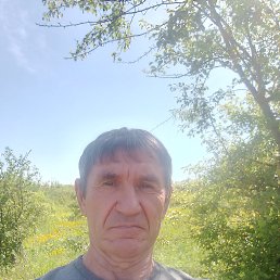 , 54 , 
