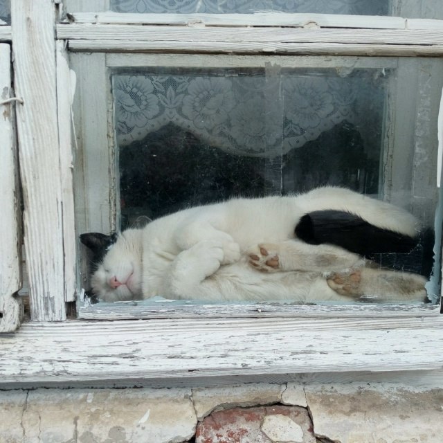 � � �����.� � ��������� � � �����������