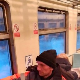 ����, ������, 41 ���