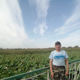 ���� �������, ����, 66 ��� - ��������� 24 ������� 2023