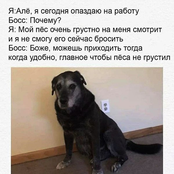    - 16  2024  16:40