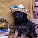 ���� ����, ��������, 44 ���� - ��������� 8 ������ 2026