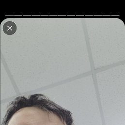 , , 44 