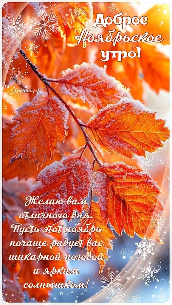   ,    . - 31  2025  23:09