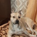 ���� �����, ���������� - ��������� 3 ������� 2025 � ������ ��������