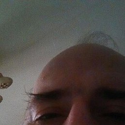 ������, �����-���������, 52 ����