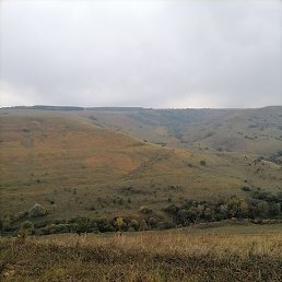 �����, ������-��-����, 47 ���