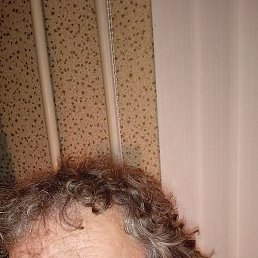 �������� ��������, ��������, 54 ����