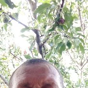 , 46 , 