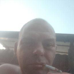 , 42, 