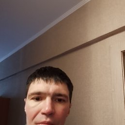 ���� ����, ����������, 39 ��� - ��������� 2 ������ 2026