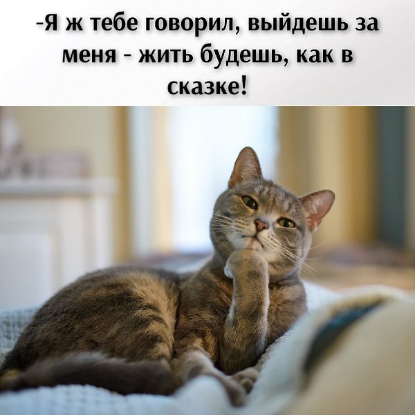     ? - 3