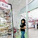 ���� �����, ������, 62 ���� - ��������� 29 ����� 2026 � ������ ���� ����������