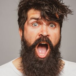 , 33, 