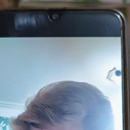 , 53, 
