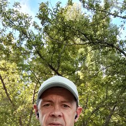 , 48 , 