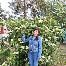 ����, ����