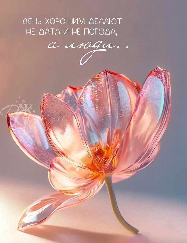 �������� ������ - 16 ���� 2026 � 14:06