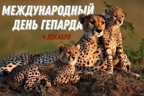 : , , , , , , , , , , ... - 4