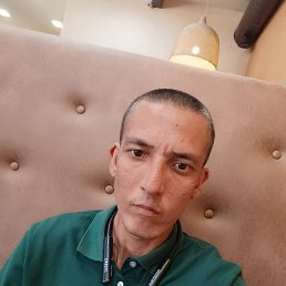 , 37, 