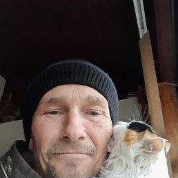 ϸ, 49 , 