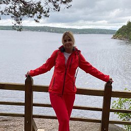 ����, �����-���������, 43 ����