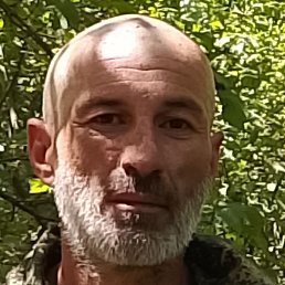 ������, ������, 43 ����