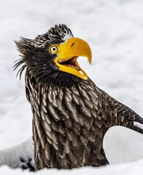 ���������������������� - 5