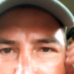 ������, 40 ���, ������