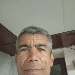 , 51, 
