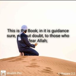 ���� Lajuur, �����������, 18 ��� - ��������� 3 ������ 2026